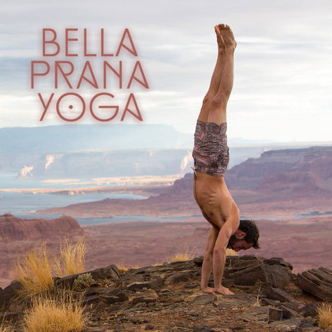 2019 - 10/26 - 2-4PM - Budokon Yoga: Handstands and Arm Balances @ Bella Prana, Tampa FL