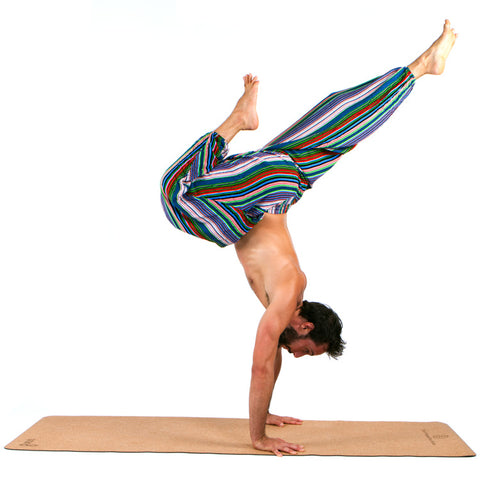 2019 - 05/25 - 11am-12pm - Fearless on Your Mat – Arm Balancing workshop @SWISS YOGA CONFERENCE, ZURICH