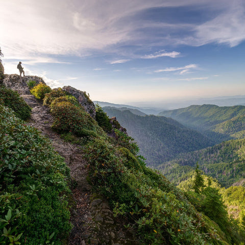 2026 - 7/29 to 8/2 - FOREST FORGED: WARRIOIR RESILIENCE W/CHRISTIAN BIZZOTTO & DONATO HELBLING @SIX FIELDS, FINES CREEK, NC