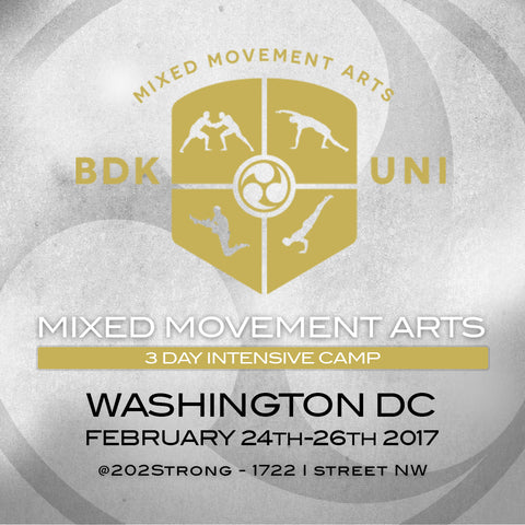 2017 - 02/24/17 - 02/26/17 - 3 day Mixed Movement Arts Camp (Martial, Yoga & Living Arts) in Washington DC - with Prof. Donato Helbling