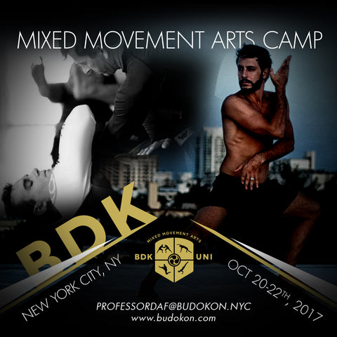 2017 - 10/20 - 10/22 - 3 day Mixed Movement Arts Camp (Martial, Yoga & Living Arts) in NYC - with Profs. Donato Helbling & Daf Snowdon