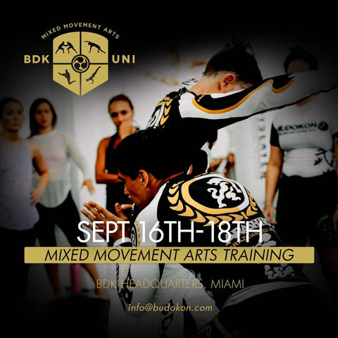 2016 - 09/16 - 09/18 - BDK Mixed Movement Arts Intensive (Martial, Yoga & Living Arts) in Miami Beach - with Kancho Cameron Shayne & Prof. Donato Helbling