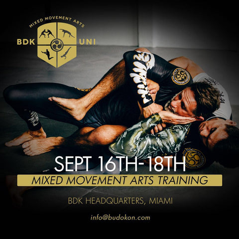 2016 - 09/16 - 09/18 - BDK Mixed Movement Arts Intensive (Martial, Yoga & Living Arts) in Miami Beach - with Kancho Cameron Shayne & Prof. Donato Helbling