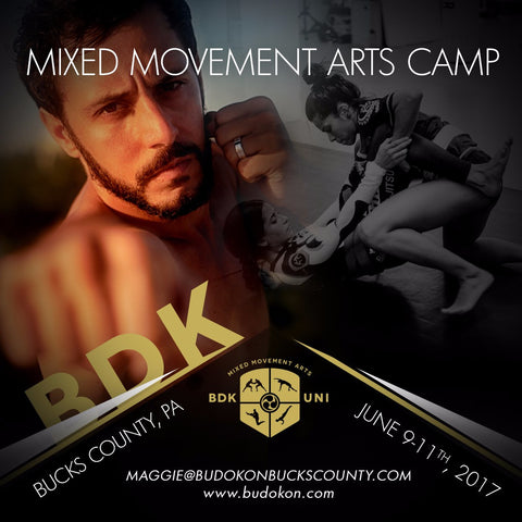 2017 - 06/9 - 06/11 - Accommodations for 3 day Mixed Movement Arts Camp (Martial, Yoga & Living Arts) in Bucks Cty, PA - with Prof. Donato Helbling