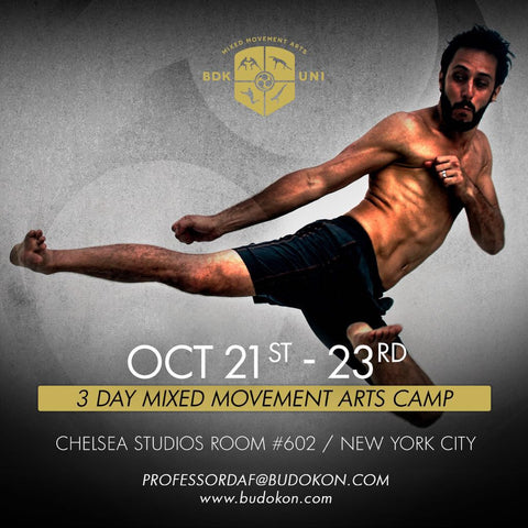 2016 - 10/21 - 10/23 - 3 day Mixed Movement Arts Camp (Martial, Yoga & Living Arts) in NYC - with Profs. Donato Helbling and Dafydd Snowdon Jones